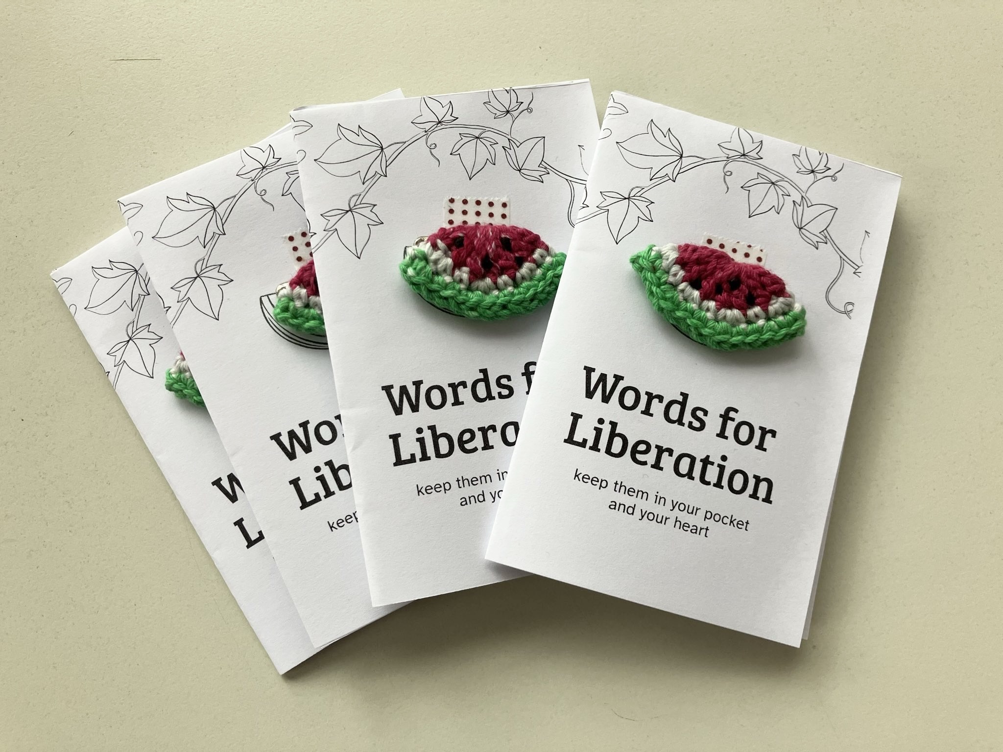 Solidarity Pin & Zine