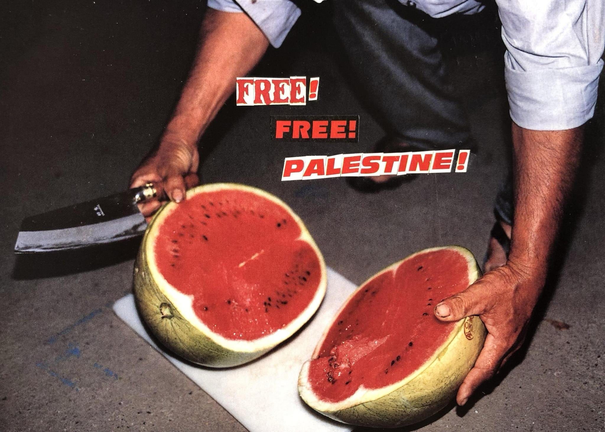 FREE! FREE! PALESTINE! Collage (4.75" x 6.75")