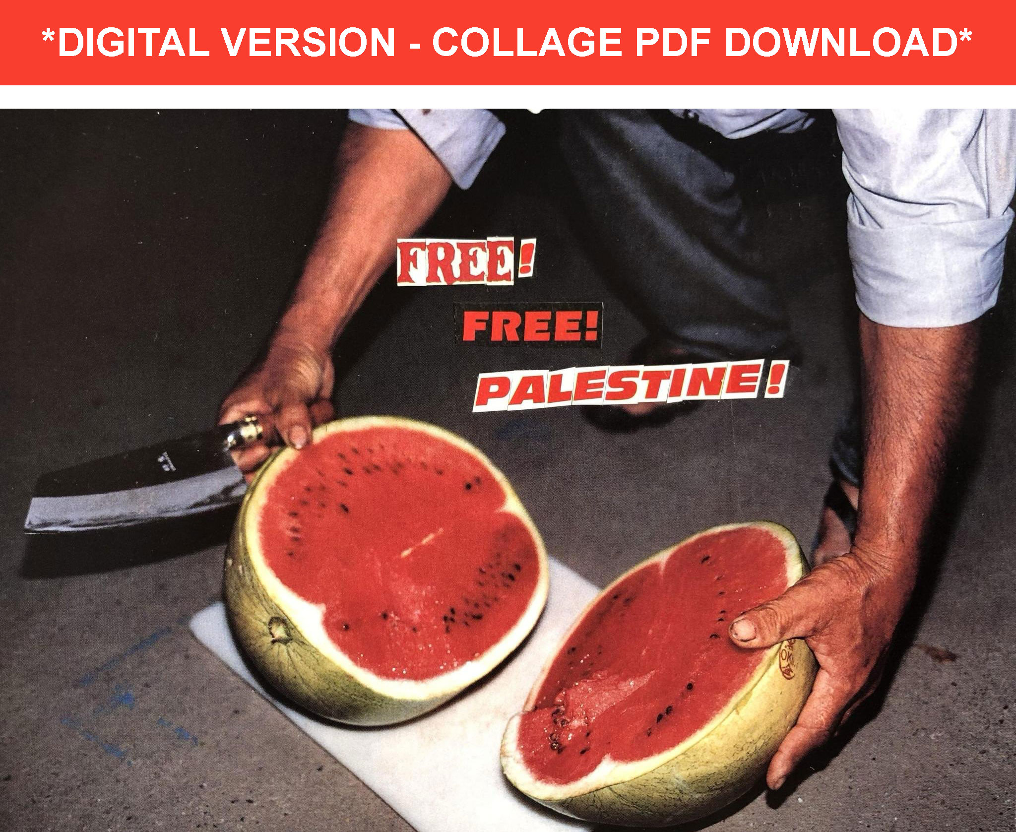 FREE! FREE! PALESTINE! Collage (Digital Download)
